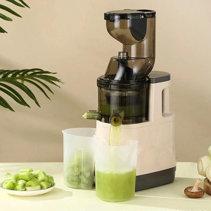 🎁Cold Press Juicer Machines