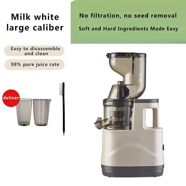 🎁Cold Press Juicer Machines